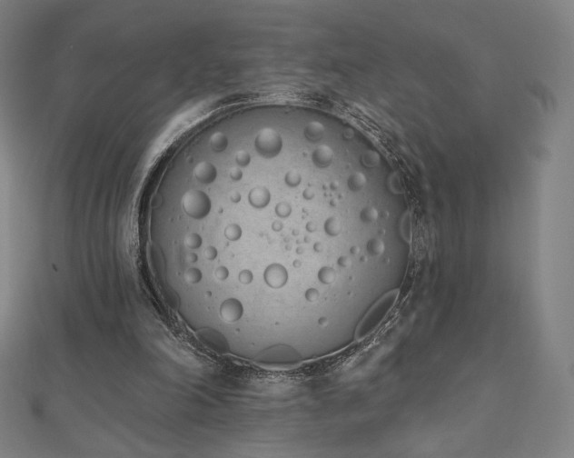 X0000112500198200908171317