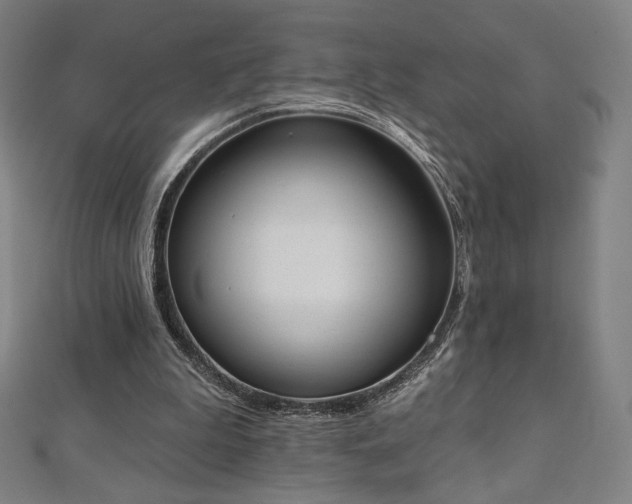 X0000112500199200908171317