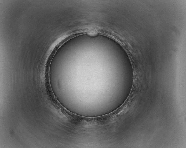 X0000112500200200908171317