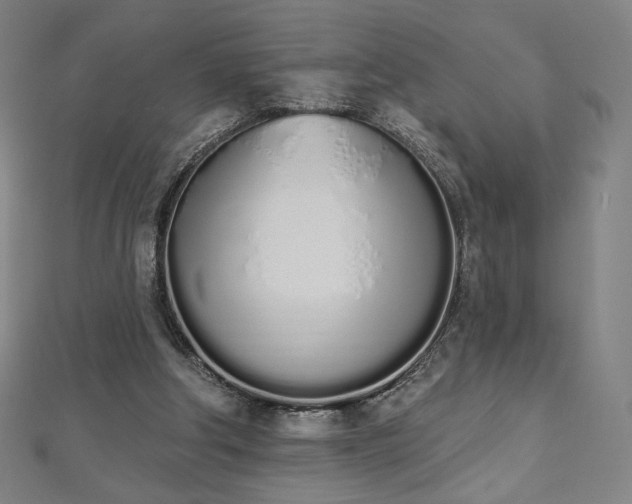 X0000112500202200908171317