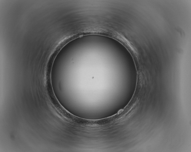 X0000112500203200908171317