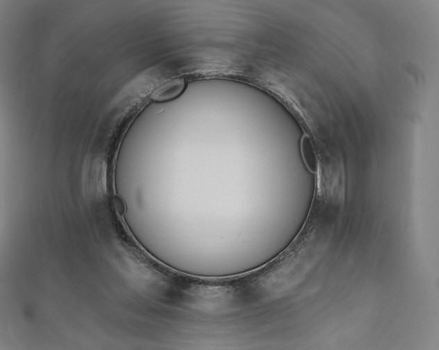 X0000112500205200908171317