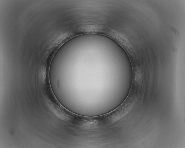 X0000112500206200908171317