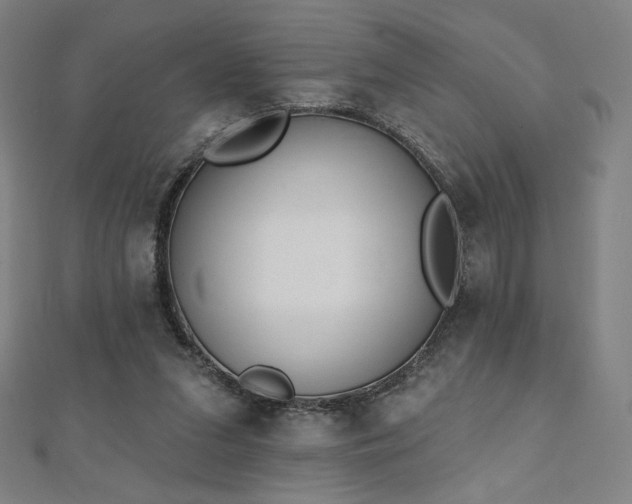 X0000112500207200908171317