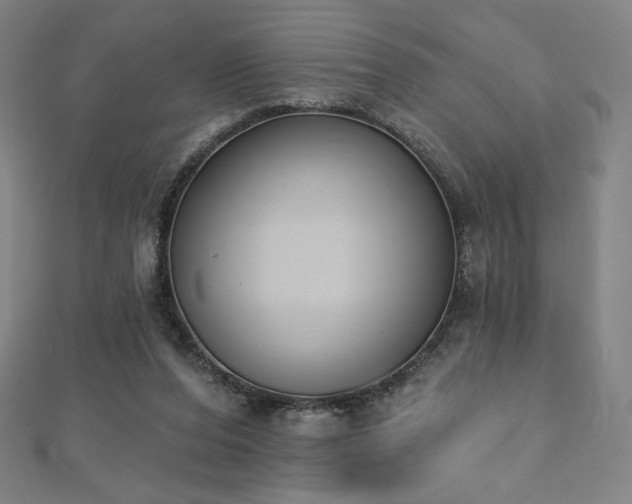 X0000112500208200908171317