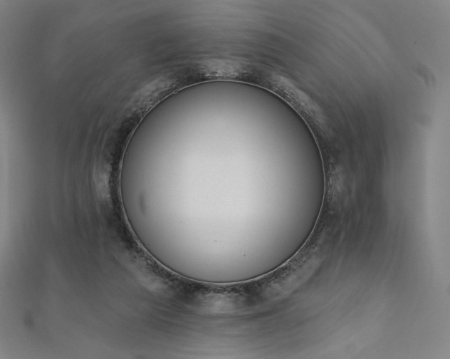 X0000112500209200908171316