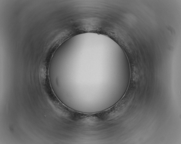 X0000112500210200908171316