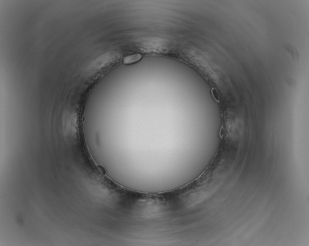 X0000112500211200908171316