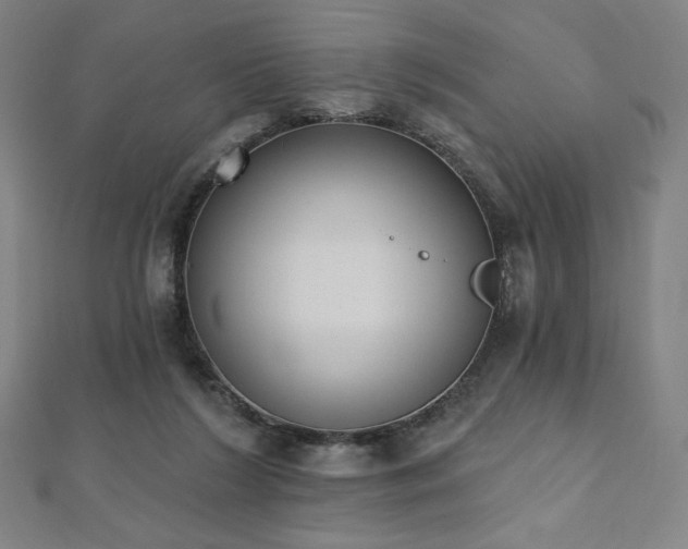 X0000112500212200908171316