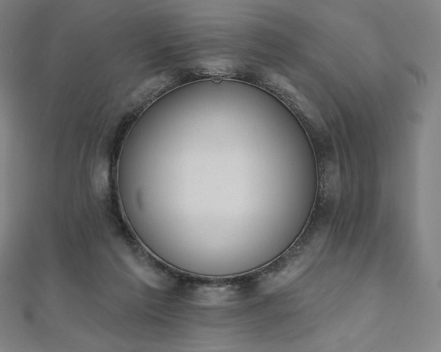 X0000112500213200908171316