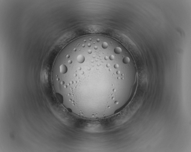 X0000112500214200908171316