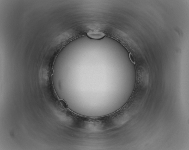 X0000112500215200908171316