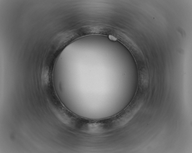 X0000112500216200908171316