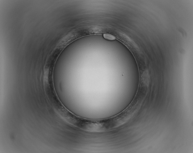 X0000112500217200908171316