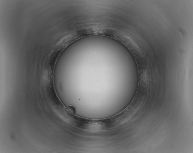 X0000112500218200908171316