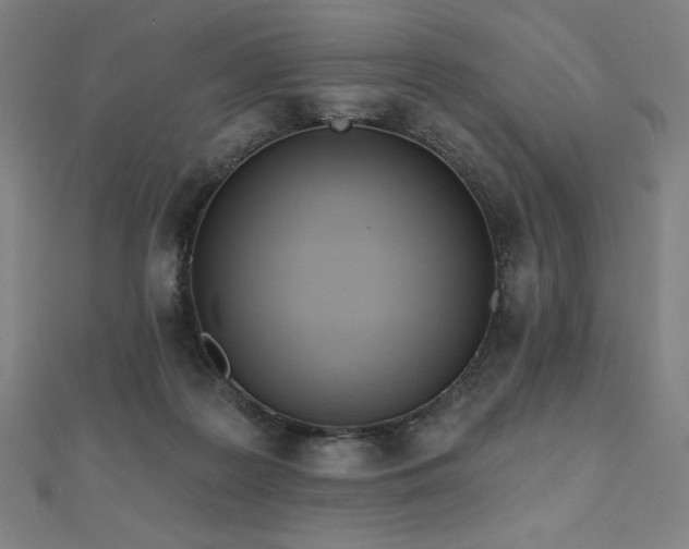 X0000112500219200908171316