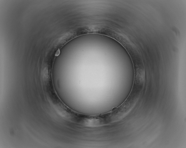 X0000112500220200908171316