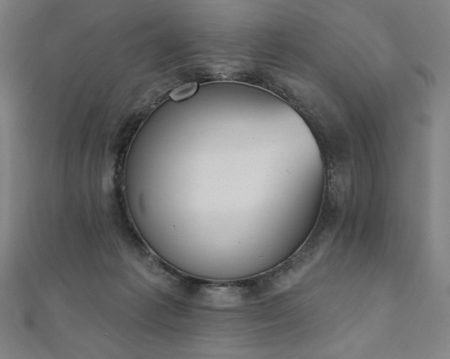 X0000112500221200908171316