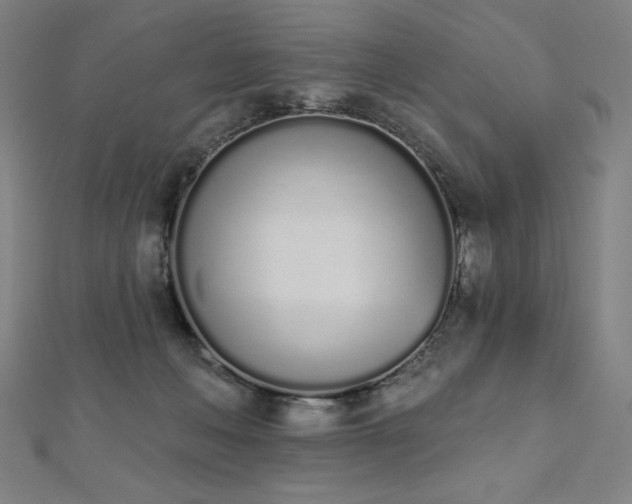 X0000112500222200908171316