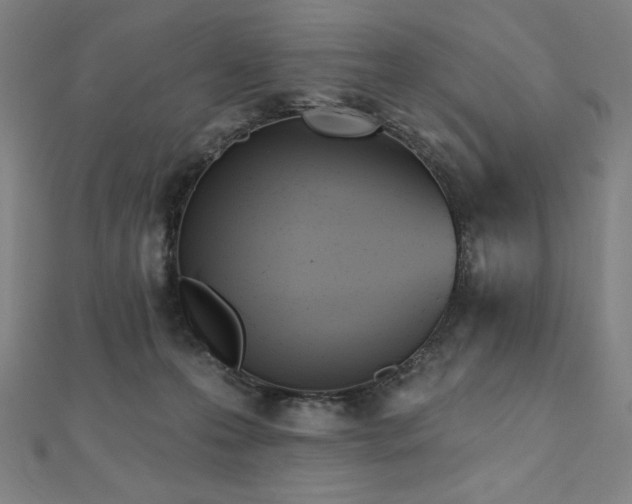 X0000112500223200908171316