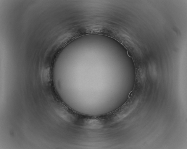 X0000112500224200908171316