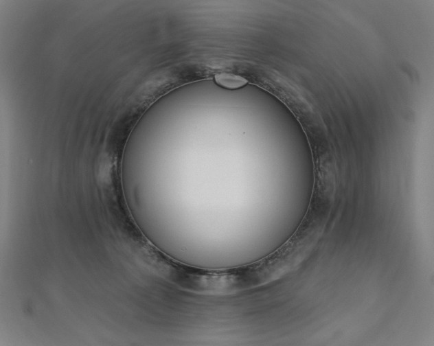 X0000112500225200908171316