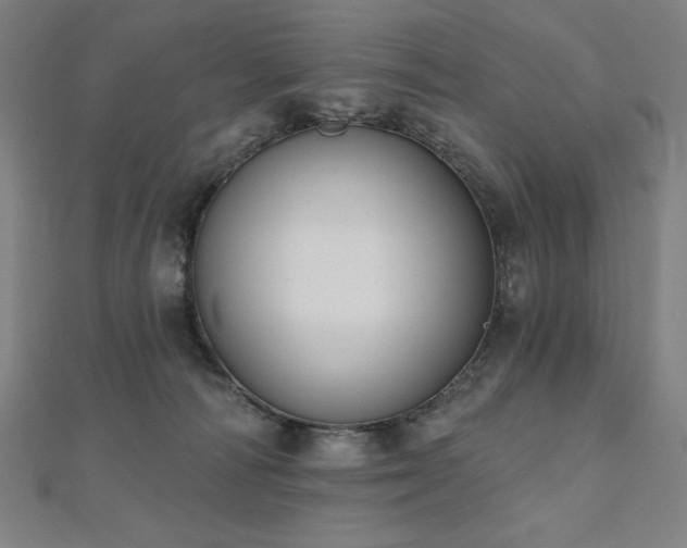 X0000112500226200908171316