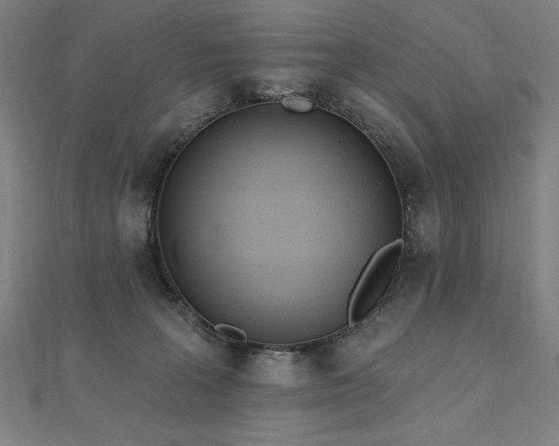 X0000112500227200908171316