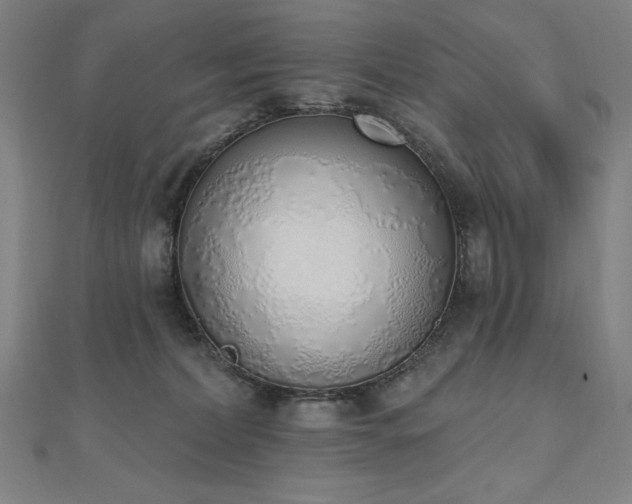 X0000112500228200908171316