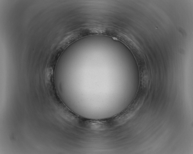 X0000112500229200908171316