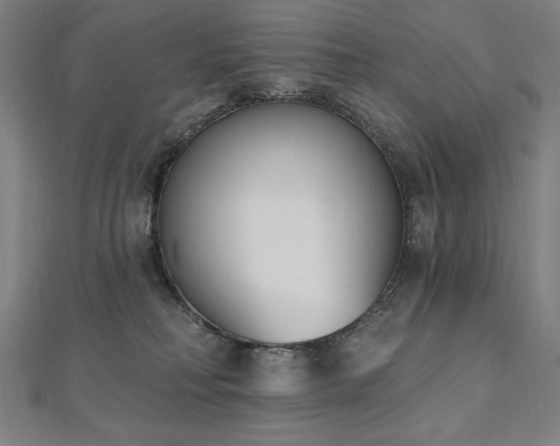 X0000112500230200908171316