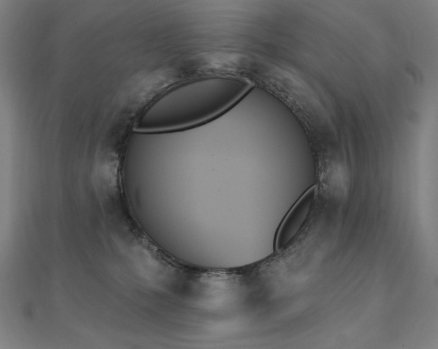 X0000112500231200908171316