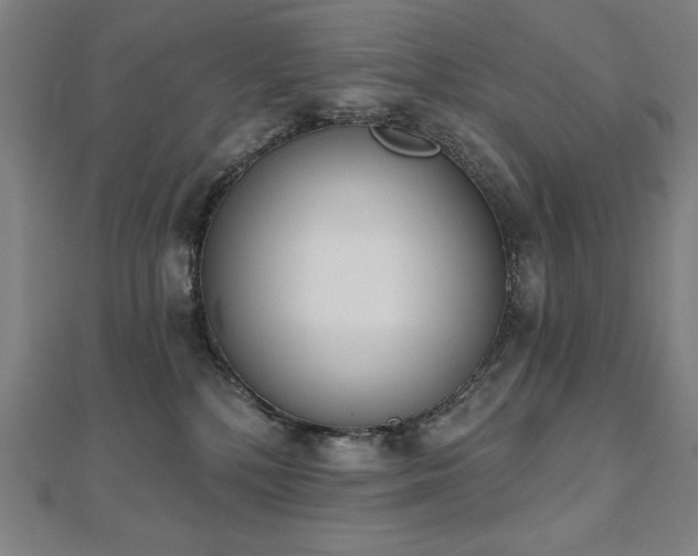 X0000112500232200908171316