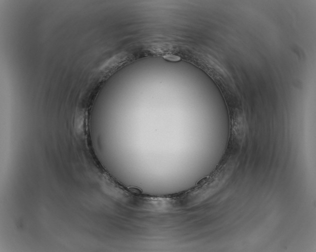 X0000112500233200908171316