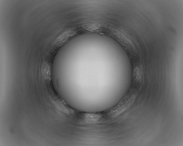 X0000112500234200908171316