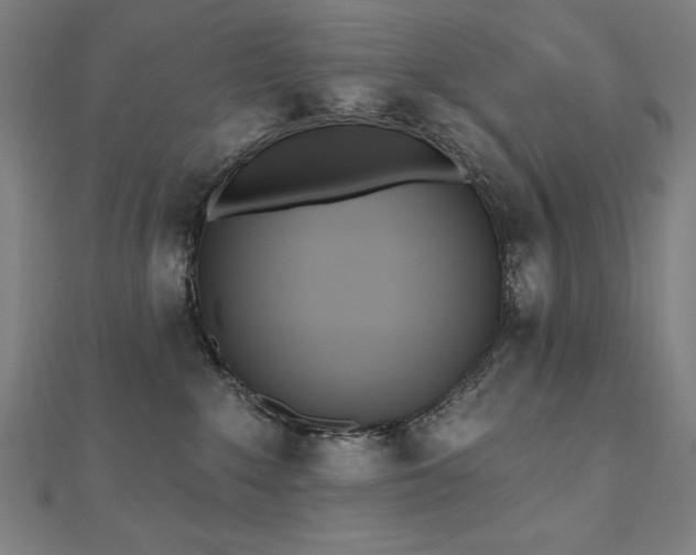 X0000112500235200908171316