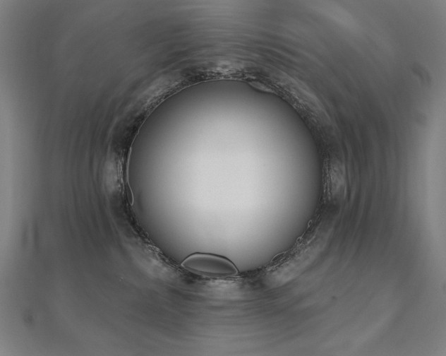 X0000112500236200908171316