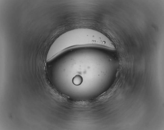 X0000112500237200908171316