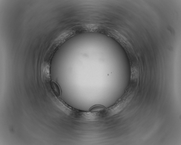 X0000112500238200908171316