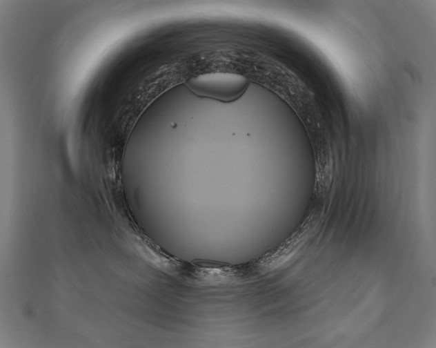 X0000112500239200908171316