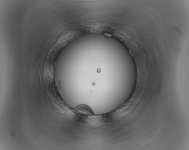 X0000112500240200908171316