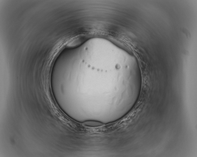 X0000112500241200908171315