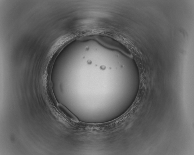 X0000112500242200908171315