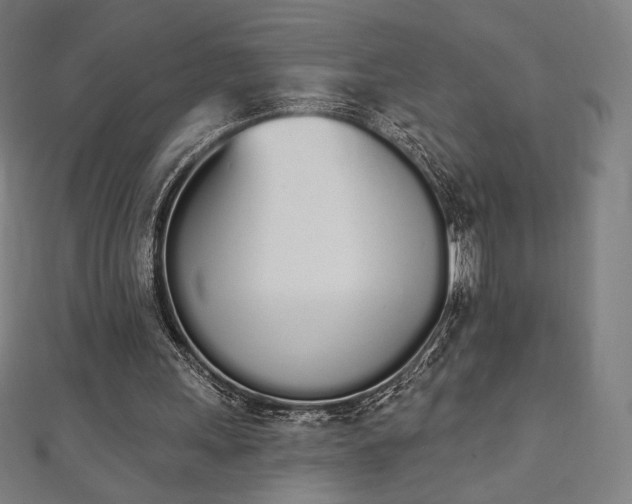 X0000112500243200908171315