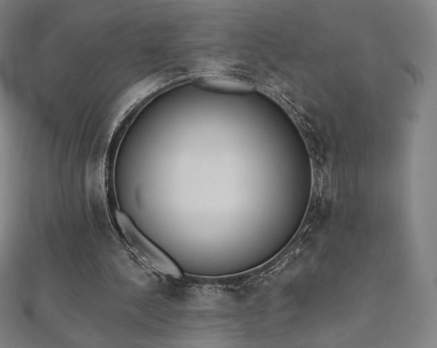 X0000112500244200908171315