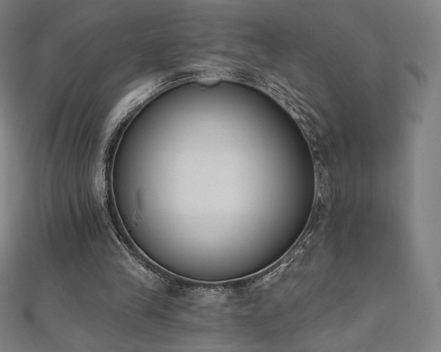 X0000112500245200908171315