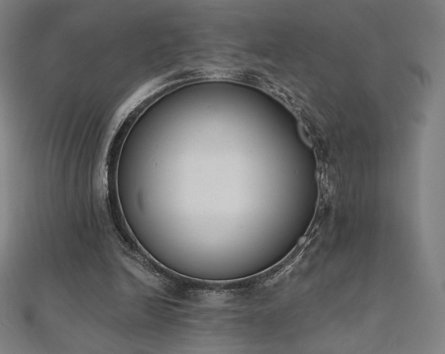 X0000112500246200908171315