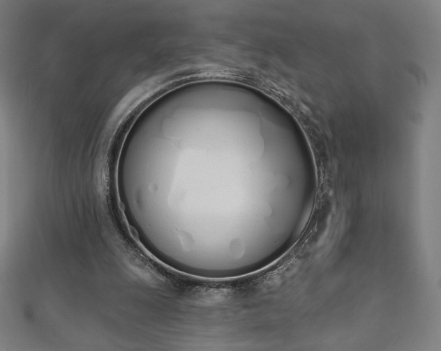 X0000112500247200908171315