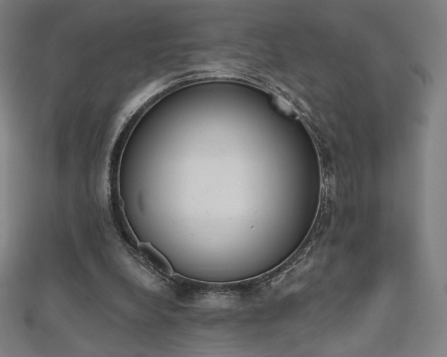 X0000112500248200908171315