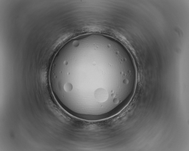 X0000112500249200908171315